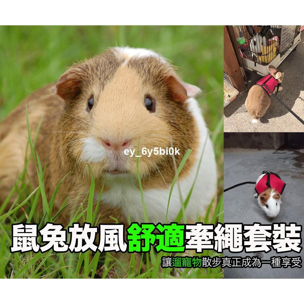 台灣新貨直發hbwallet鼠 兔外出舒適牽繩套裝牽引繩不傷寵物天竺鼠鼠用品兔用品毛小孩 蝦皮購物