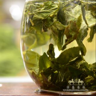 祥泰茶莊-坪林 文山包種茶 清香 冷泡熱泡適合