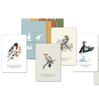 04/06補 Sibley Birds of Land, Sea, and Sky 1-50