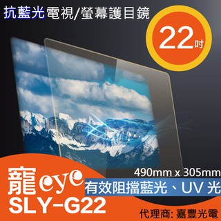【寵eye】22吋 抗藍光液晶電視/螢幕護目鏡 (SLY-G22)