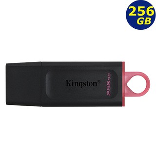 Kingston DTX 256GB 256G DataTraveler Exodia BSMID43254 隨身碟