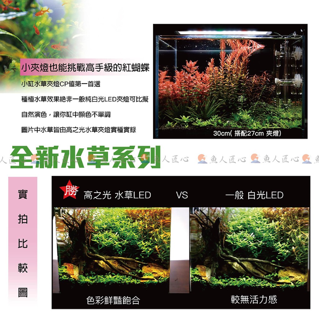 Ista 高之光系列led夾燈 水草燈 全白燈 藍白燈 水草缸 水族夾燈 增艷燈 魚缸 魚缸夾燈 Led夾燈 水族燈 蝦皮購物