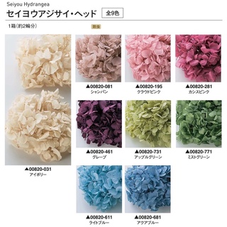 Truly 可刷卡 大地農園永生花 不凋花大葉西洋繡球繡球花紫陽花 000 盒裝 滿額另有折扣 蝦皮購物