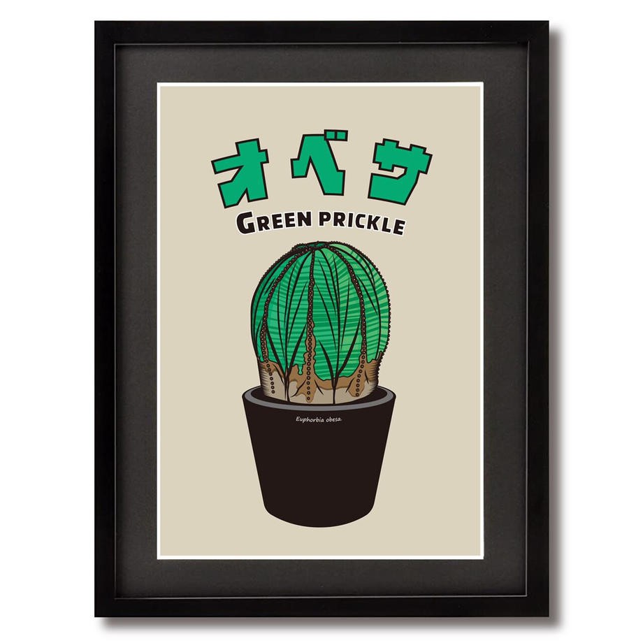 日本green Prickle多肉植物插圖 蝦皮購物