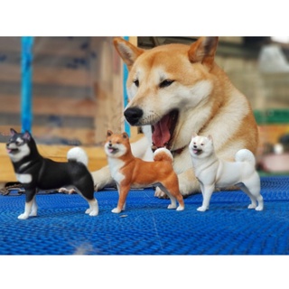 【柏斯商號】模擬柴犬公仔 柴犬模型 三色柴犬一次收集