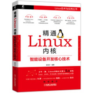 【大享】 台灣現貨 9787111639602 精通Linux內核:智慧設備開發核心技術 (簡體書) 機械工業129【大享電腦書店】