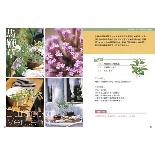 簡單種香草和蔬菜 手殘者也能養活的食用植物 蝦皮購物