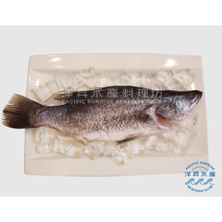 【東海岸日昇養殖場】臺東山泉水金目鱸魚 ／金目鱸魚 ／清蒸 紅燒 煮湯／臺灣養殖／臺東養殖