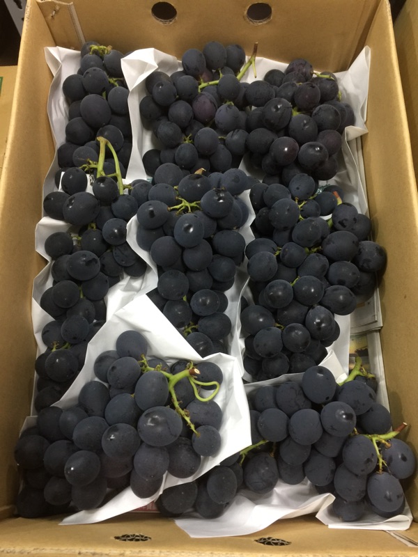 溫室特級巨峰葡萄5公斤裝整串6-9串裝| 蝦皮購物