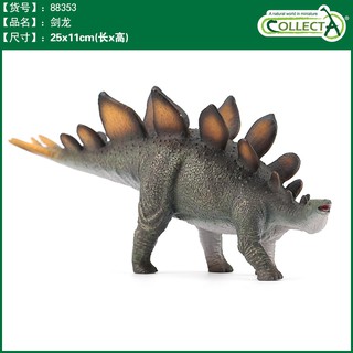 【W先生】CollectA 英國高擬真模型 1:40 1/40 劍龍 長約25公分 模擬 侏儸紀 恐龍模型 動物模型