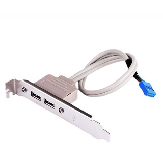 主機板USB擴展線/2 PORT USB擋板線/USB2.0擋板/USB擴展後置擋板