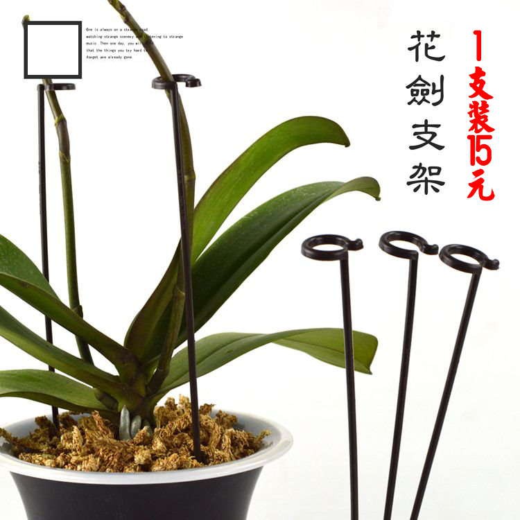 陽台多肉花園 花劍支架 蝴蝶蘭支架 爬藤架 攀爬支柱 蝴蝶蘭支柱花支架花架 新北市三重區自取 蝦皮購物