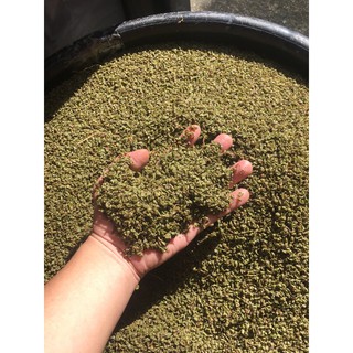 南台灣 手工日曬 自產自銷 預購中 天然綠豆殼枕頭 蝦皮購物