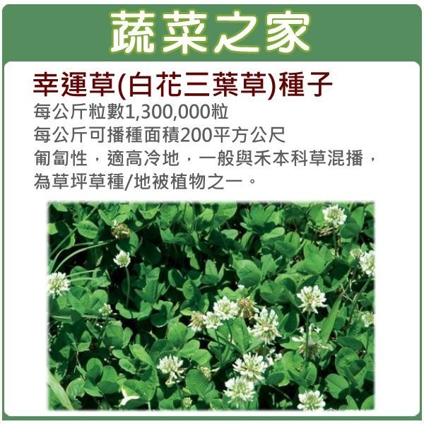 蔬菜之家 M09 幸運草 白花三葉草 種子7500顆 匍匐性 適高冷地 一般與禾本科草混種 為草坪草種 地被植物之一 蝦皮購物