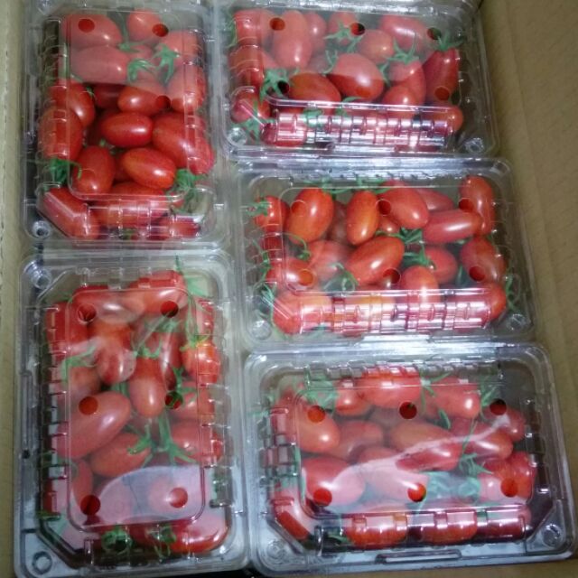 玉女番茄(2盒)
