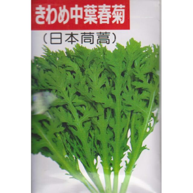 四季園 春菊 中葉春菊 (日本茼蒿) 中包裝蔬果種子  分裝包種子 約20公克/包