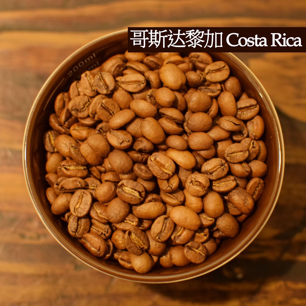 【潶水咖啡豆】哥斯大黎加 西部谷地 葉爾莎處理廠 黃蜜