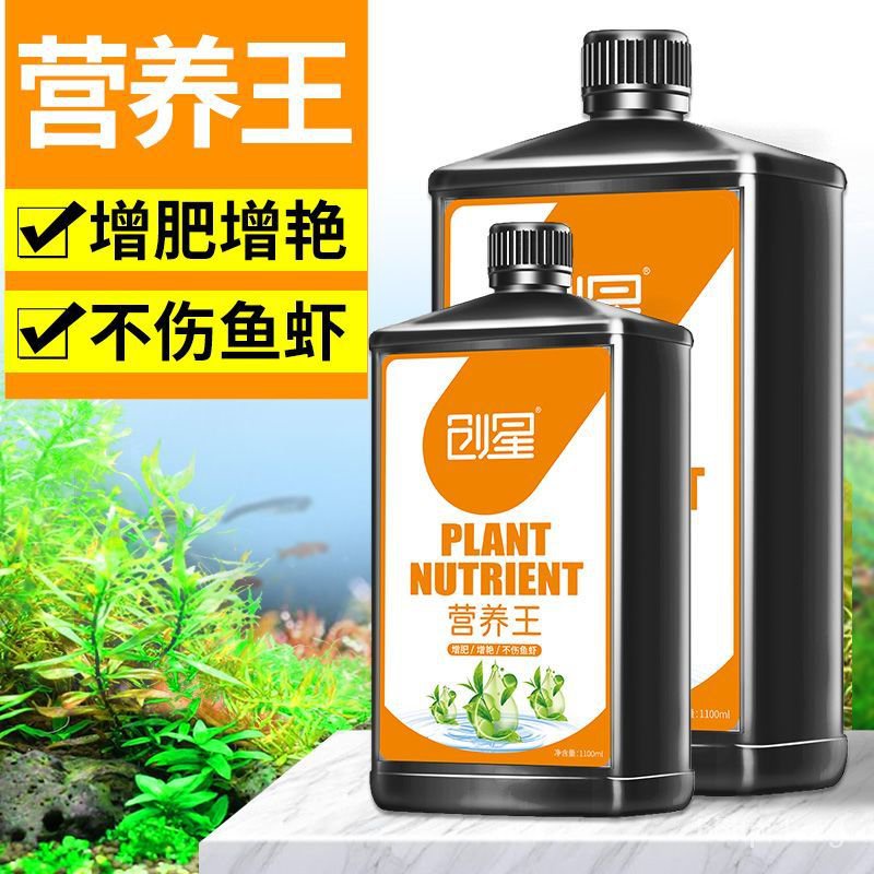 水草用 Ptt與dcard推薦網拍商品 21年12月 飛比價格