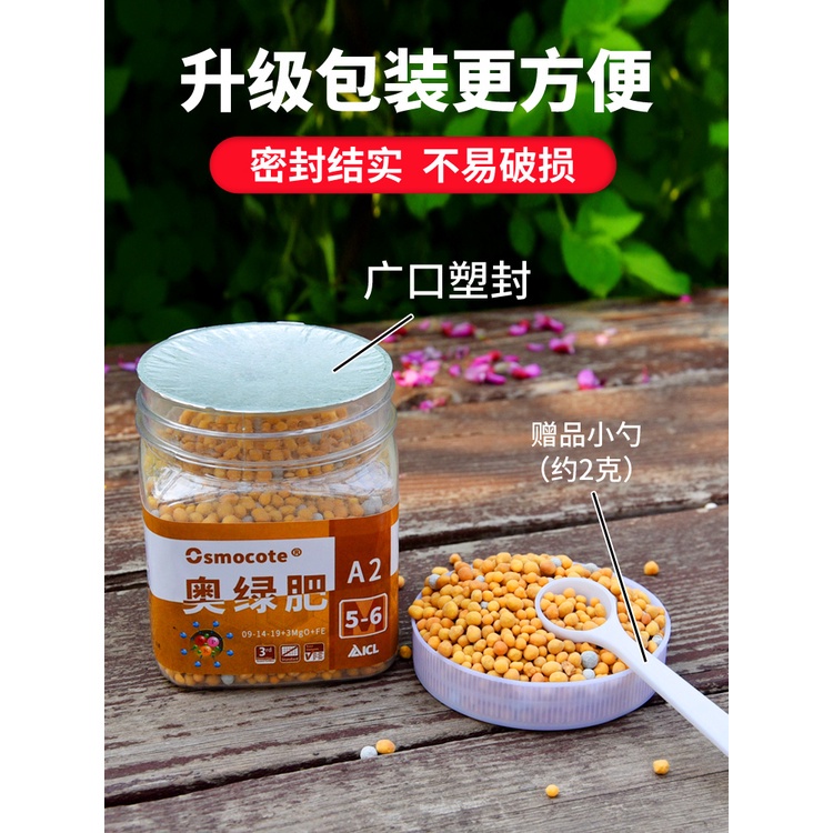 多肉緩釋肥 Ptt Dcard討論與高評價網拍商品 21年11月 飛比價格