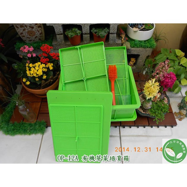 芽菜栽培箱的價格推薦 22年3月 比價比個夠biggo