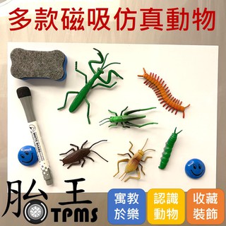 磁吸模擬動物 冰箱貼白板貼 昆蟲 海洋動物 裝飾收藏認知早教 冰箱磁鐵 大門磁鐵 冰箱裝飾 大門裝飾
