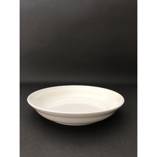 有發票/東昇瓷器餐具=大同強化瓷器8吋彩虹湯盤 P4982