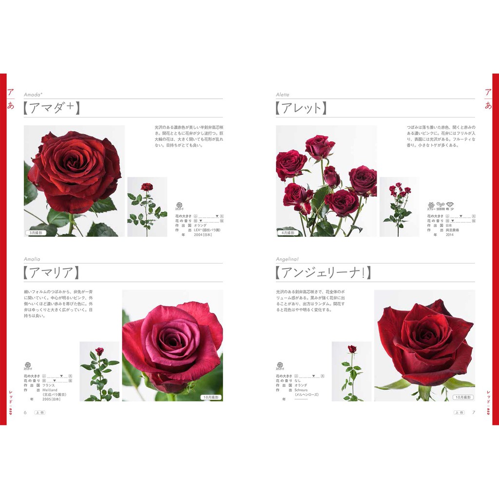 現貨 玫瑰薔薇圖鑑1 上卷526品種 日本花藝插花進口圖書日版 蝦皮購物