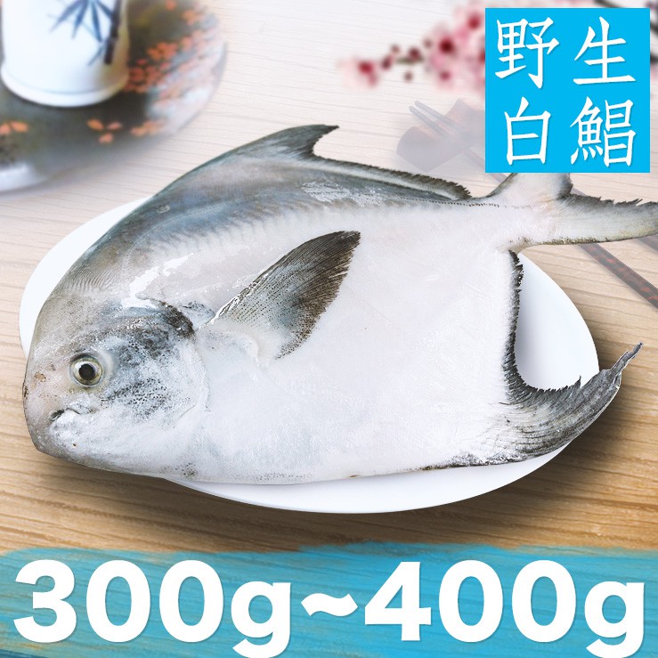 南海豐【野生白鯧魚】300~400g/尾/肉質細嫩.少刺甜美.船撈急凍鮮度極鮮.頂級海鮮食材