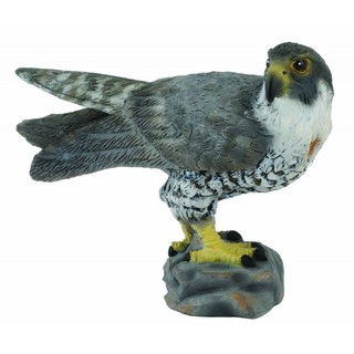 臺中＊＊宏富玩具＊＊《 COLLECTA 》英國 Procon 動物模型 遊隼