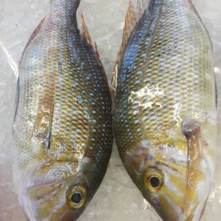 人氣推薦商品與線上折扣優惠 S1020627 蝦皮台灣