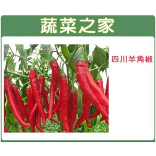 【蔬菜之家滿額免運】G37.四川羊角椒種子80顆(一般辣 )果菜類種子