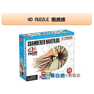 哥白尼的實驗室/生物/4D鸚鵡螺模型/正版Fame Master/海洋生物系列