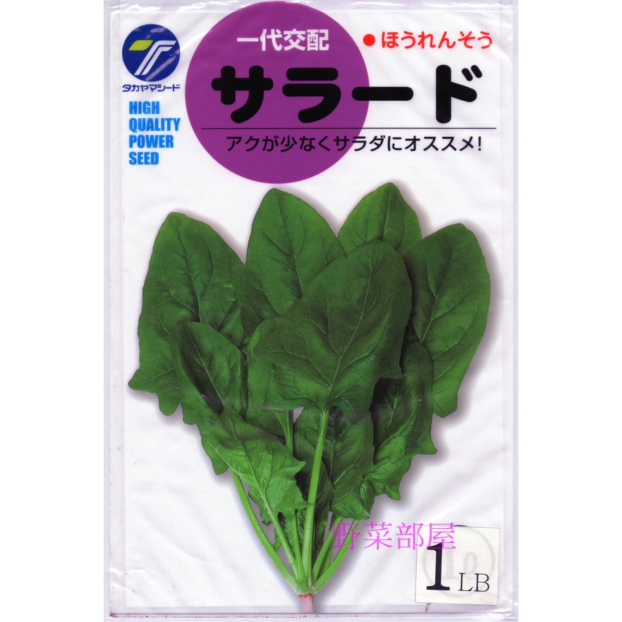 【萌田種子~大包裝】A21 日本味美菠菜種子1磅原包裝 , 抗病性佳, 可當生菜沙拉食材 , 每包470元~