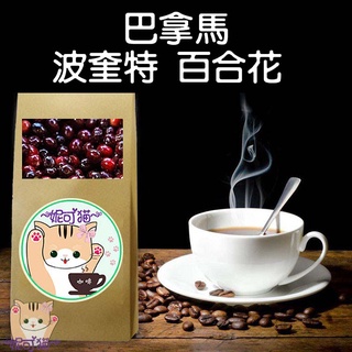 巴拿馬 波奎特 百合花 半磅《精品咖啡豆×接單新鮮現烘》熟豆 新鮮不貴 探索美味莊園豆 精品豆 單品咖啡 莊園豆 精品