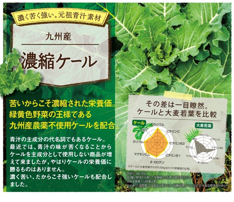 日本九州產野菜使用stella贅沢青汁青汁錠90粒 蝦皮購物