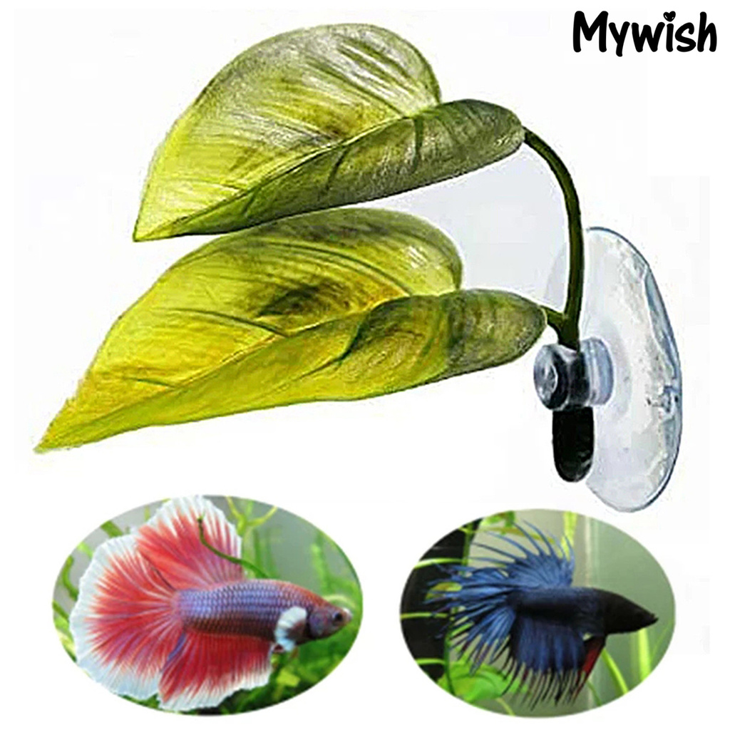 鬥魚的價格推薦第95 頁 21年5月 比價比個夠biggo