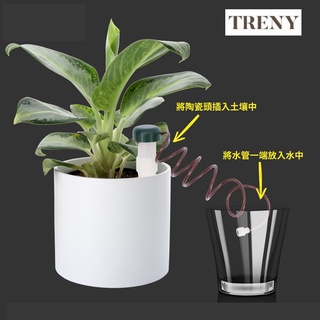 TRENY 自動澆水 自動補水 懶人 盆栽自動自吸澆水器-2入