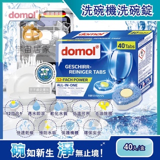 德國 domol 黃金心 洗碗錠 40入 洗碗機專用 碗盤清潔錠 洗碗精 酵素 餐具 不鏽鋼 清潔劑 洗碗精 洗碗機