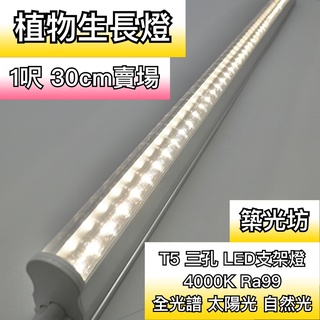 【築光坊】全光譜 植物生長燈 Ra99 自然光 4000K 太陽光 T5 LED支架燈 層板燈 1尺 1呎 植物燈