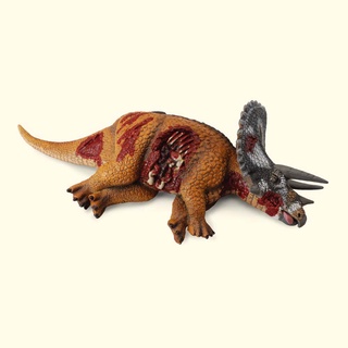 「芃芃玩具」COLLECTA 動物恐龍模型R88528 三角龍屍體 仿真 教材 教學 貨號88528