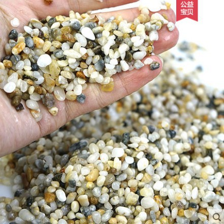 白珍珠底 Ptt討論與高評價網拍商品 21年8月 飛比價格