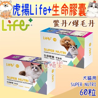 【虎揚 Life+】生命膠囊 貓用生命膠囊 60粒/盒 犬用 貓用 鱉丹 爆毛丹 甲魚蛋 營養保健－愛喵樂🔅