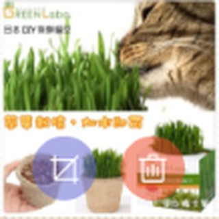 日本Green Labo《DIY新鮮貓草/燕麥草》來自日本，無農藥栽培，犬貓皆可食用（非一般小麥草）