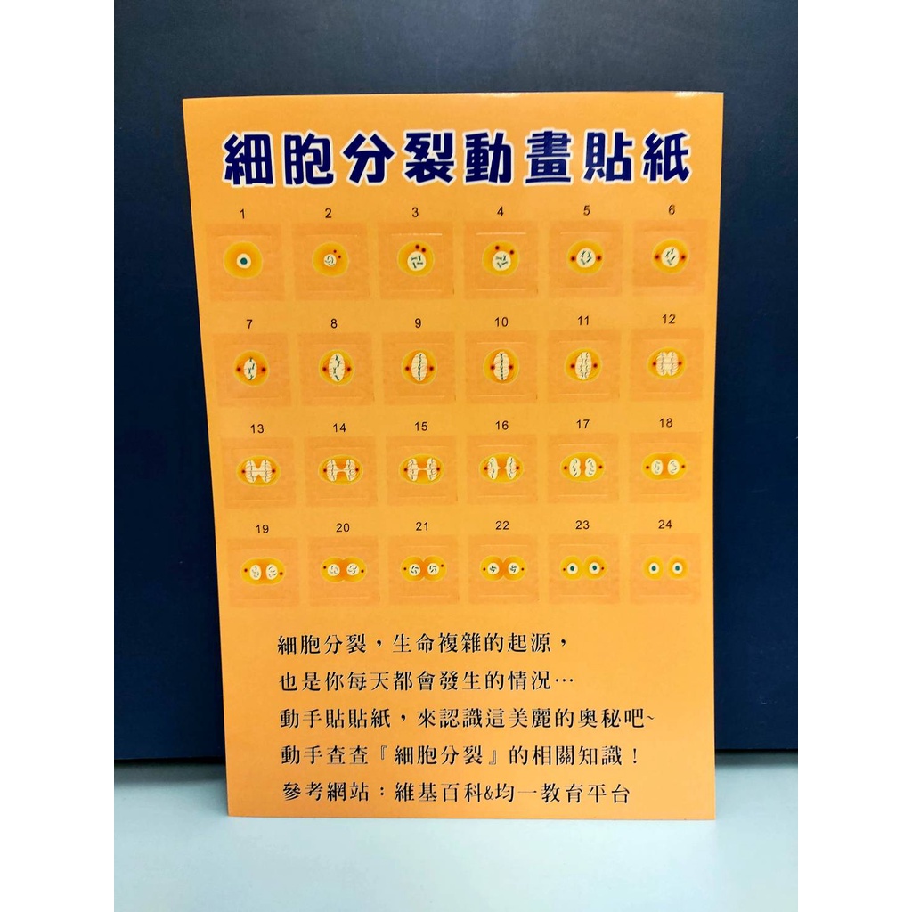 ★ 生物科桌遊：細胞分裂動畫貼紙(買一送一） /科學玩具/屏科大顏老師