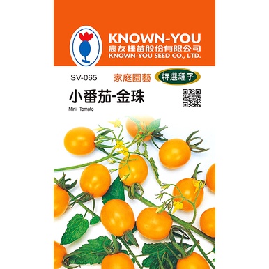 《農友種苗》特選蔬果種子 SV-065小番茄-金珠