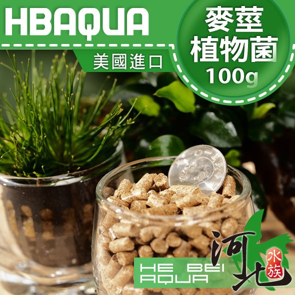 [ 河北水族 ] 美國進口【麥莖植物菌 / 100g 】水晶蝦玩家推薦、蝦類最佳補給品