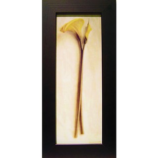 柔美花卉系列之海芋Lily 世界名畫 掛畫 複製畫 壁飾 22x46cm