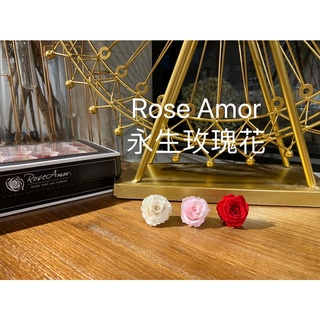 “Be a florist 花藝夢” Rose Amor 厄瓜多永生玫瑰花 約3~3.5公分 乾燥花 永生花 不凋花