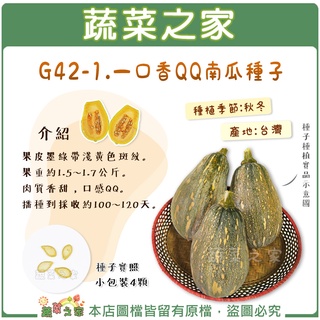 【蔬菜之家滿額免運G42-1】G42-1.一口香QQ南瓜種子4顆(果皮墨綠帶淺黃色斑紋。果重約1.5~1.7公斤)果菜類