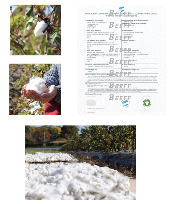 9533aaa44c535d5069a584adeb975ab1